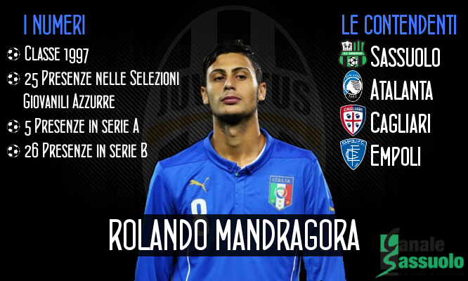 mandragora
