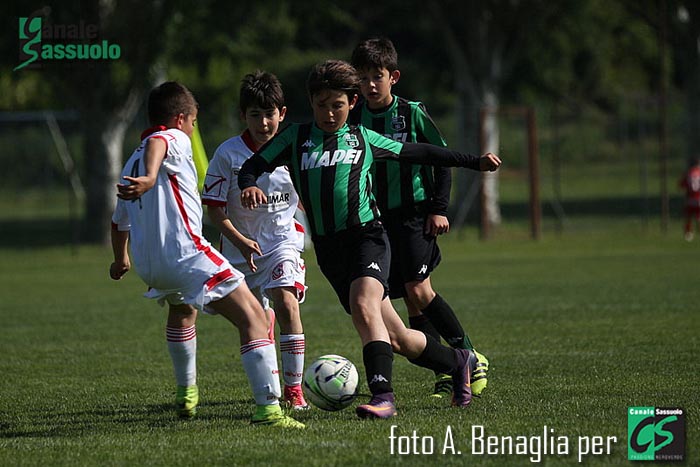 Pulcini Sassuolo Memorial lo sardo (16)