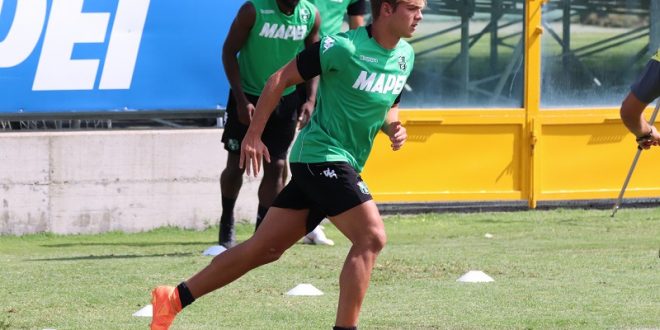 Alessandro Tripaldelli