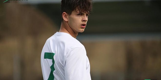 nicholas martini villa valle