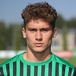 Stefano Piccinini