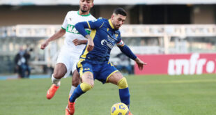 Hellas Verona Sassuolo