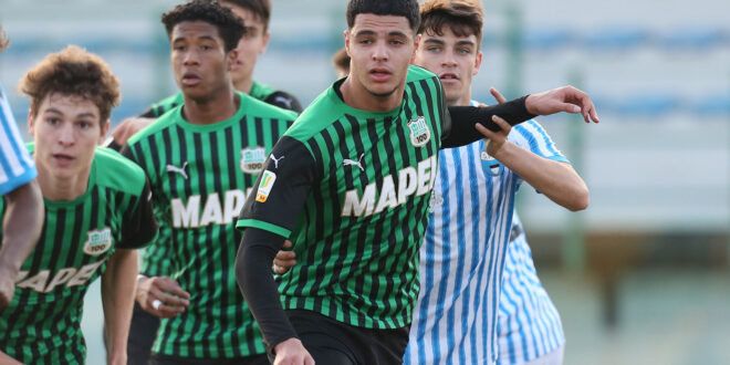 Noor Arabat Primavera