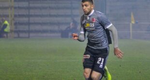 raffaele celia spal