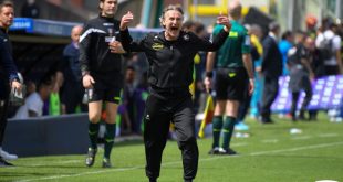 precedenti sassuolo-salernitana