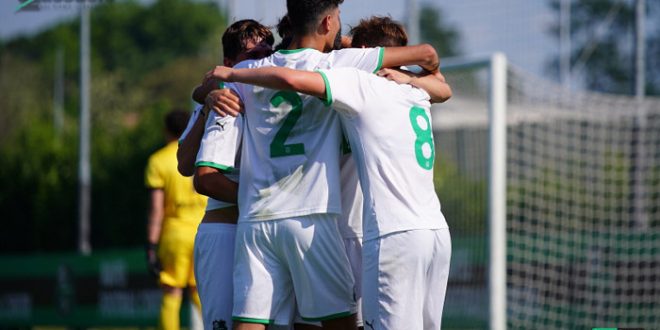 diretta sampdoria sassuolo primavera