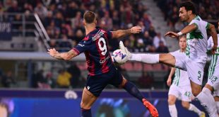 bologna-sassuolo 3-0