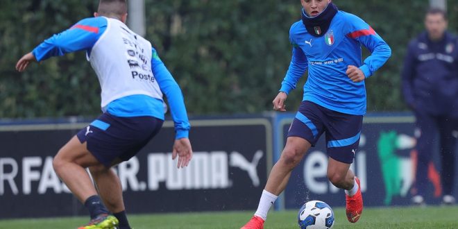 luca d'andrea nazionale