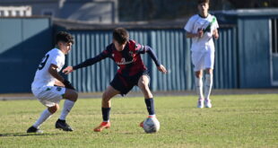 bologna sassuolo under 16