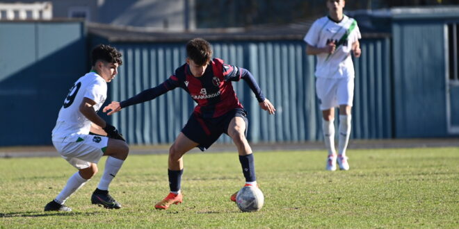 bologna sassuolo under 16